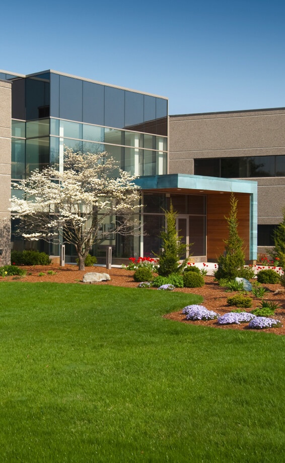 Office building landscaping